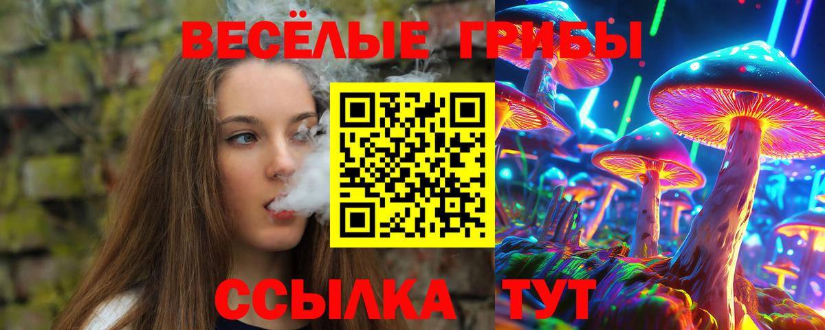 Галлюциногенные грибы Psilocybine cubensis  Вход с VPN  купить  цена  Каменка 